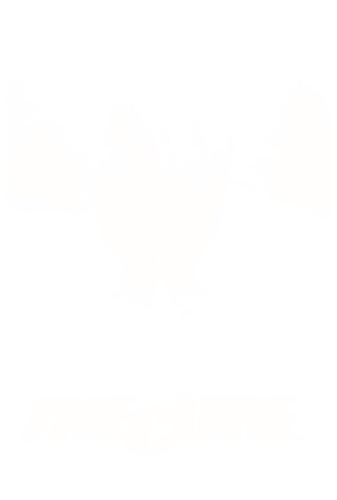 The Cure