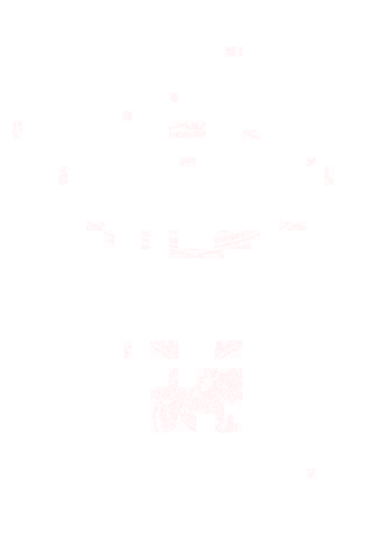 Rk0163-guns