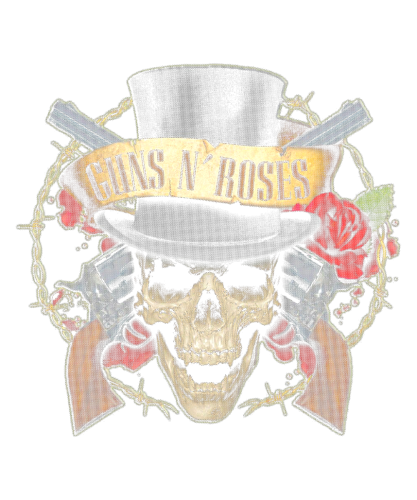 Guns n roses